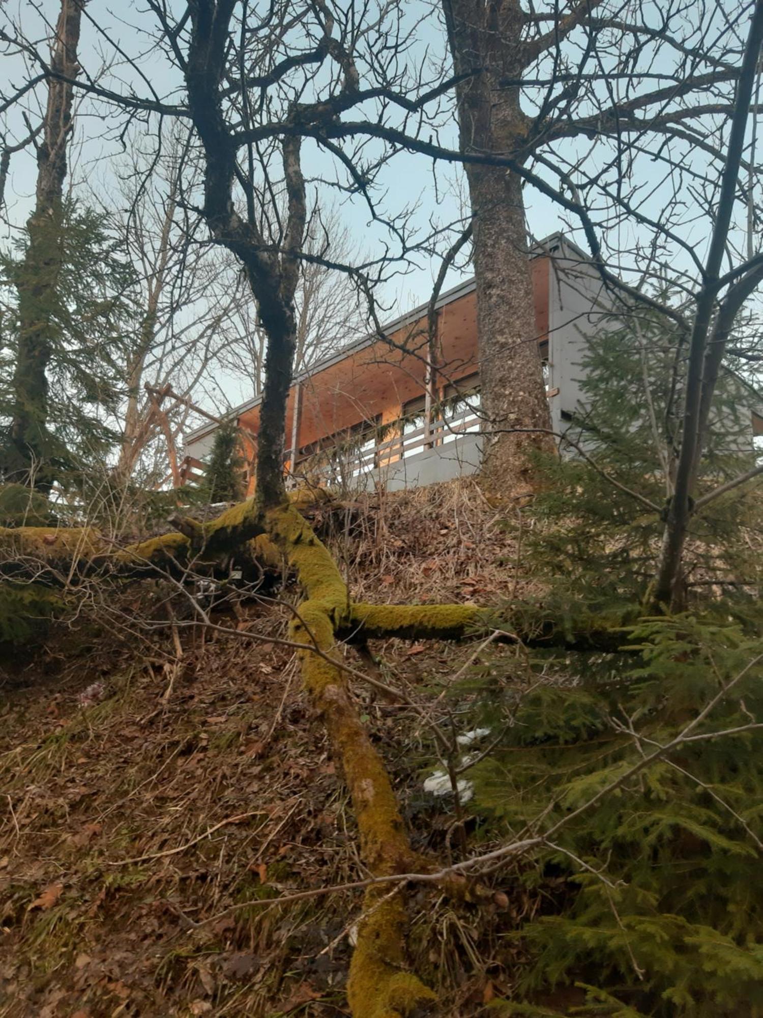 Oryavchik Country House Orjavcsik Szoba fotó