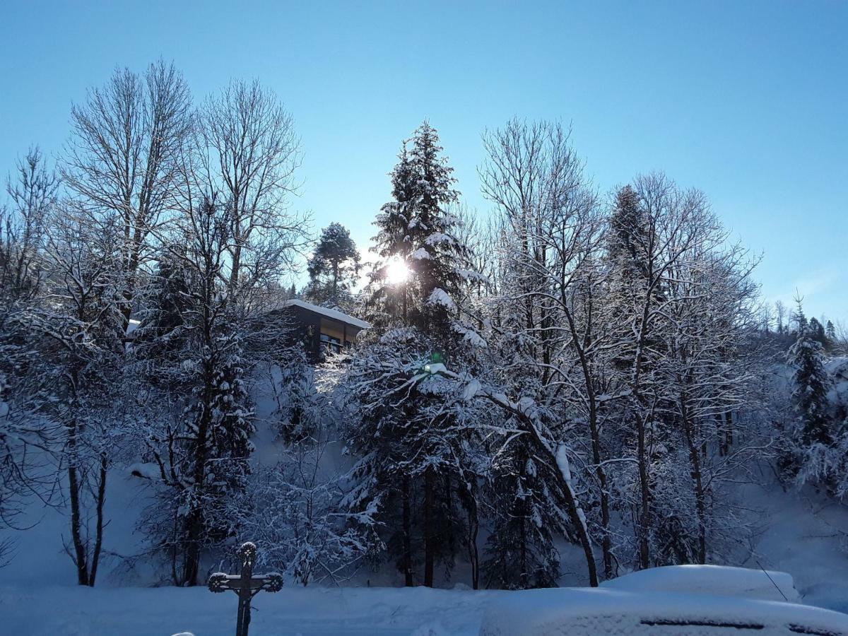 Oryavchik Country House Orjavcsik Kültér fotó
